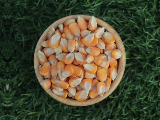 Animal Feed from Elysium Agri