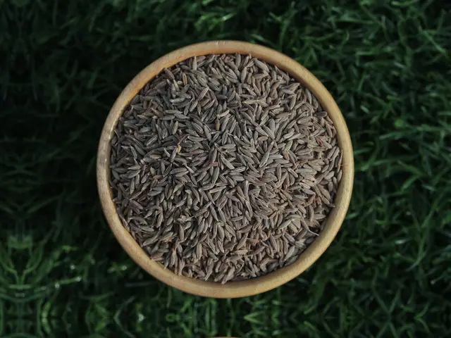 Cumin seeds from Unjha, Gujarat
