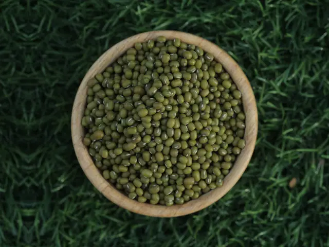 Pulses from Elysium Agri