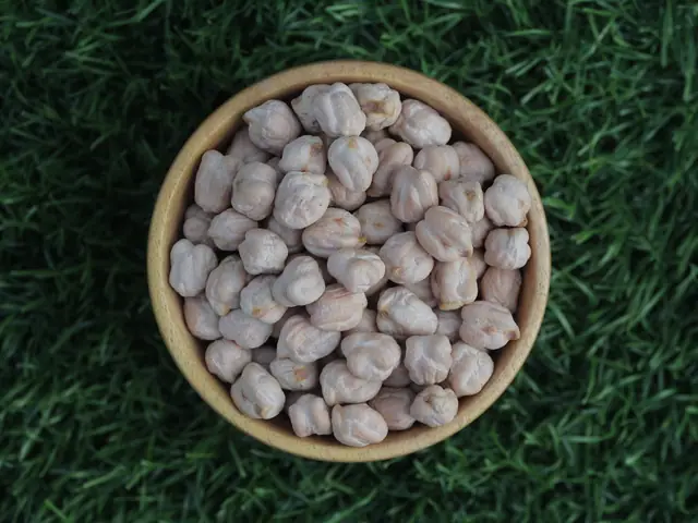Kabuli chickpeas exported by Elysium Agri