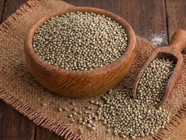 Grains from Elysium Agri